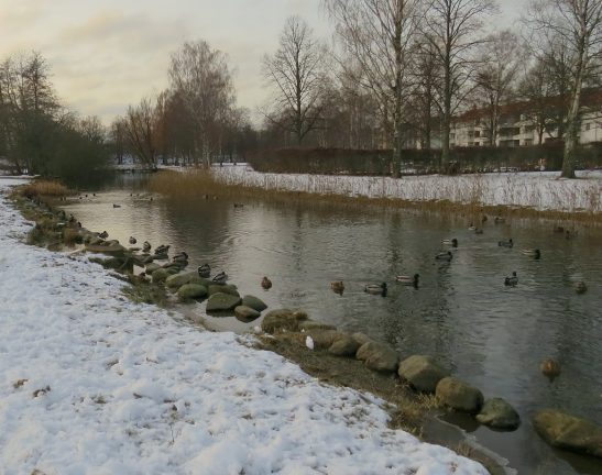Liljeholmkanalen i Jönköping