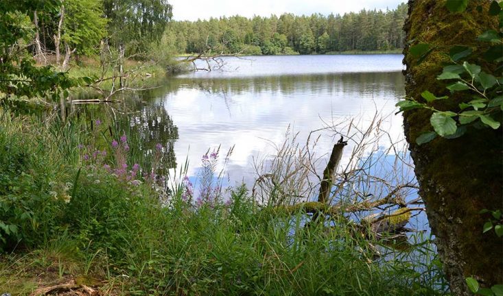 Uppsnyggning vid dammen kräver budgetmedel