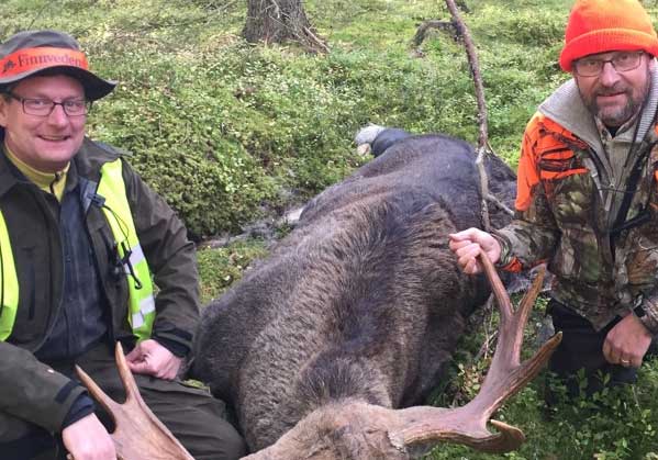 Älg fälld av Starrikelaget