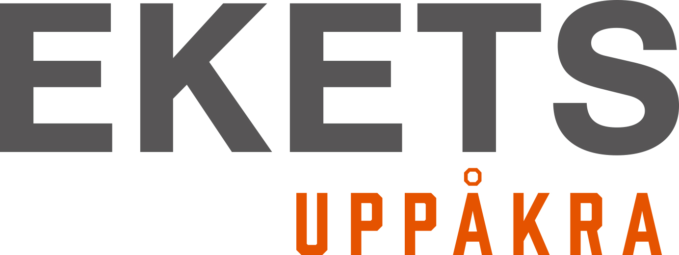 Uppåkra 221208-135-höger