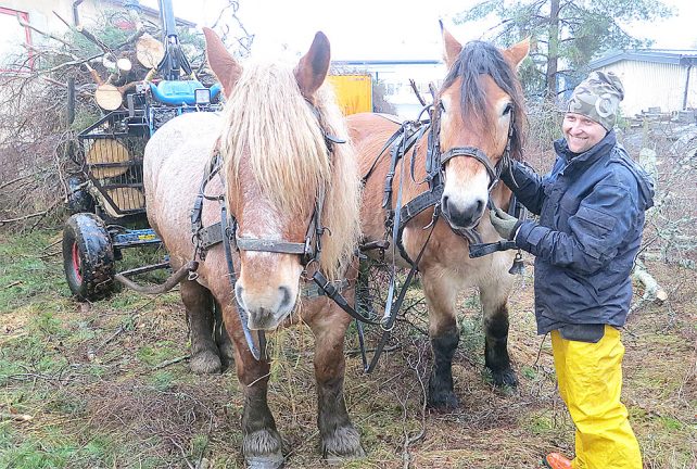 Ett hästjobb i centrala Skillingaryd