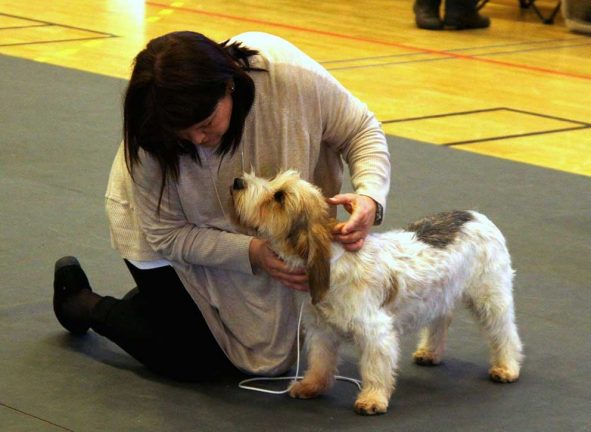 Bildspel: Hunden är människans bästa vän