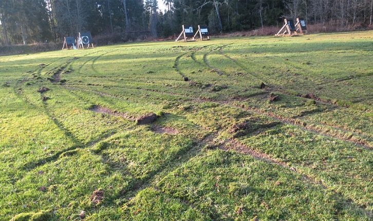 Skadegörelse på bågskyttarnas gräsplan