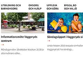 Vaggeryds kommun valde Consid