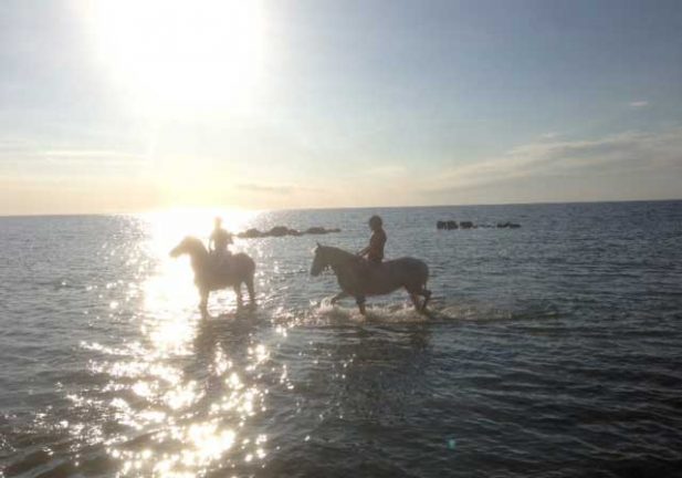Ponnyryttare i Ölands solsken