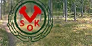 VSOK 161203-135