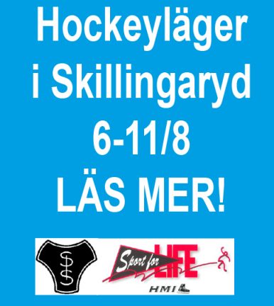 hockeylager 170405-31