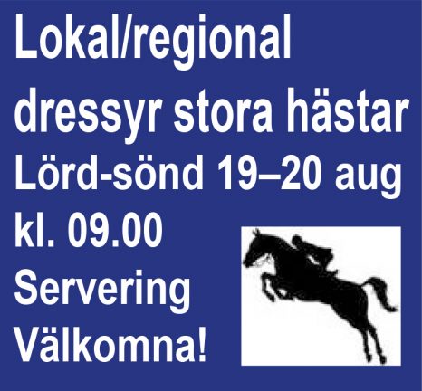 dressyr-vsrk-170819-20-135
