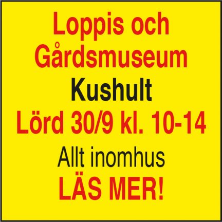 loppis-kushult-170930-135