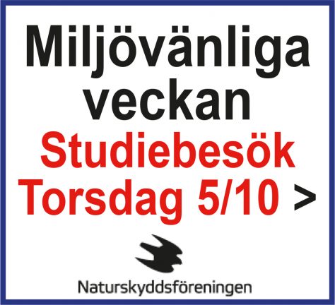 miljonvanliga-veckan-170925-171007-135