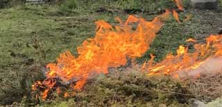 Grönlänningar lär sig naturvårdsbränning