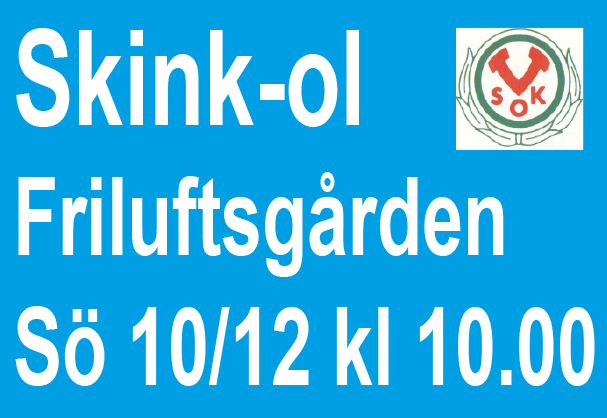 skink-ol-171210-135