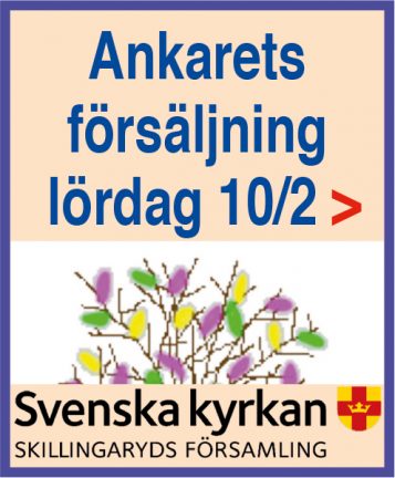 ankarets-ris-180210-135
