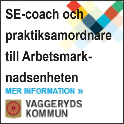 ame-jobb-180323-180407-135
