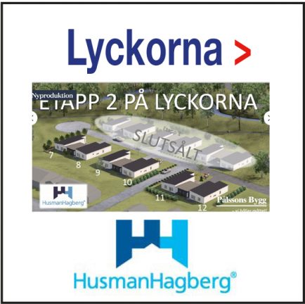 husman-lyckorna-180625-180725-135
