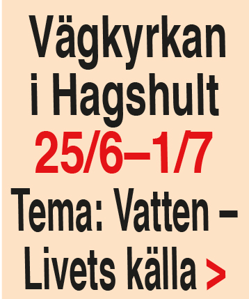 vagkyrka-hagshult-180625-0701-135