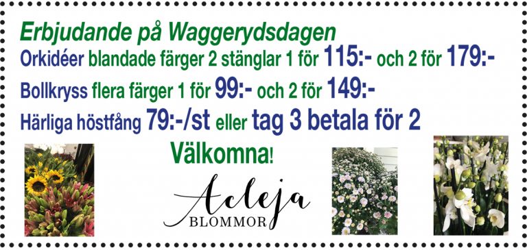 acleja-waggeryd-190827-nyhet