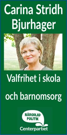 centern-stridh-180802-05-135-valfrihet
