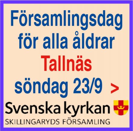 forsamlingsdag-tallnas-180912-180923-135
