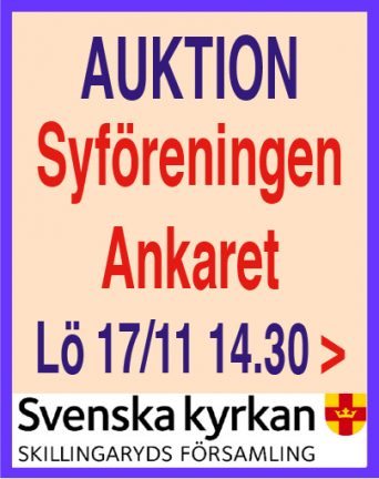 ankaret-auktion-181117-135