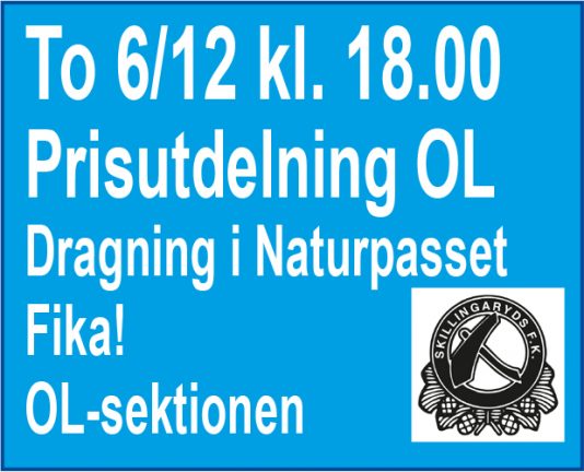 prisutdelning-sfk-181202-06-135