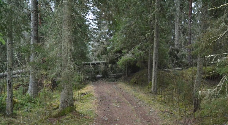 Vintermörker över VSOK:s elljusbana