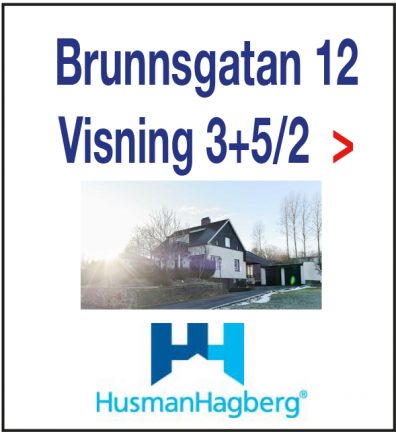 husman-brunnsgatan-190127-190205-135