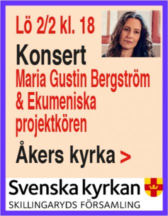 konsert-190122-190202-135