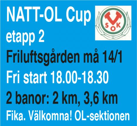 vsok-nattol-190106-14-135