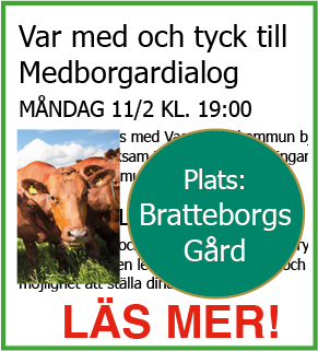 lrf-medborgardialog-190131-190211-135