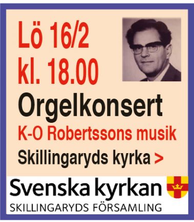 orgelkonsert-190211-16-135