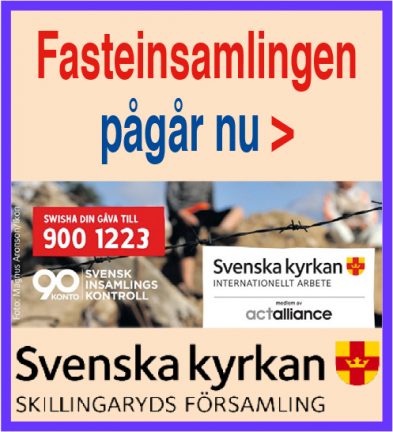fasteinsamlingen-2019-135