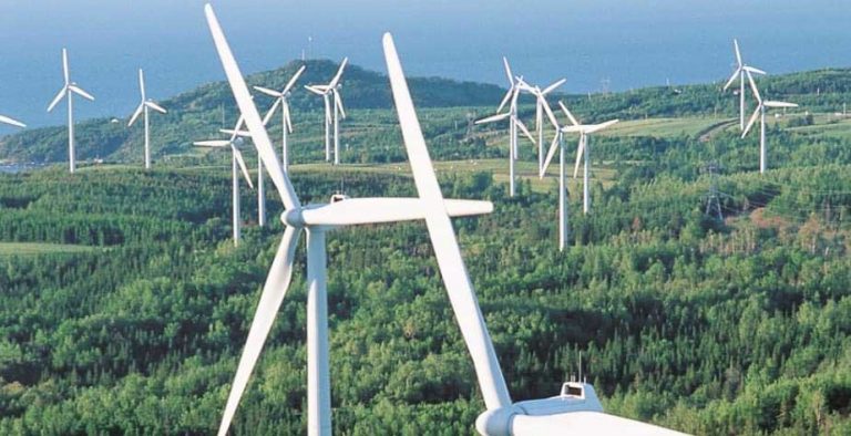Politiker skriver brev till vindkraftsetablerare