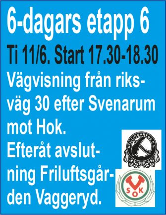 sexdagars-190606-11-135