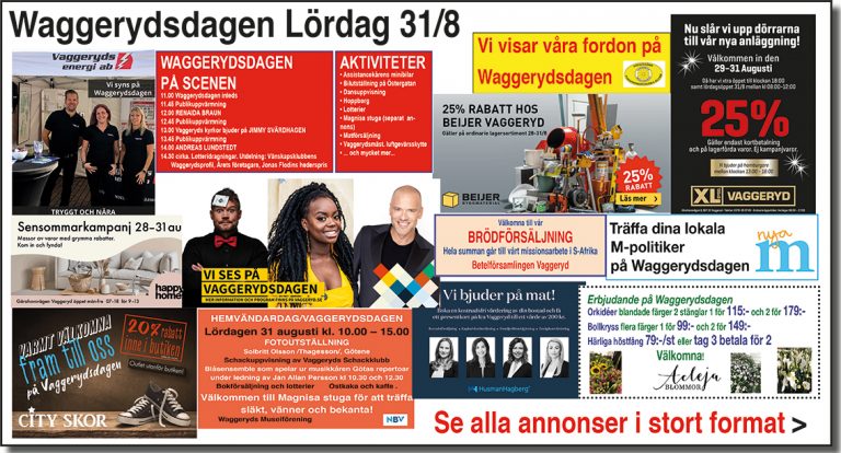 waggerydsdagen-190831-topp