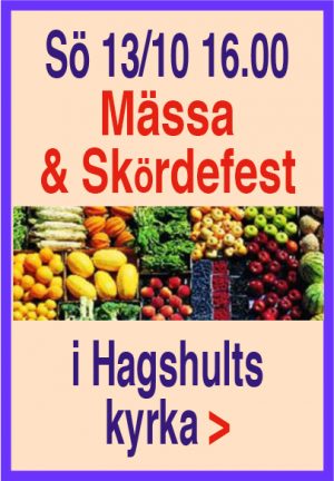 skordefest-191013-x-Hagshult-135