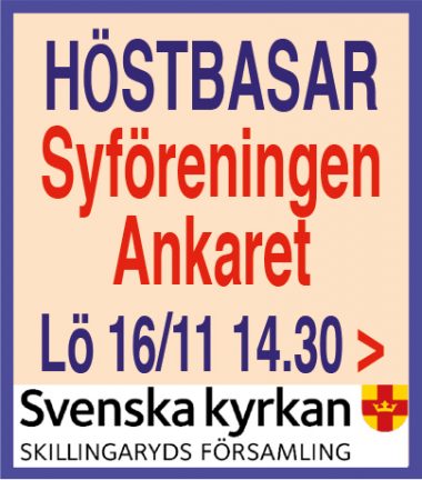ankaret-hostbasar-191108-16-135