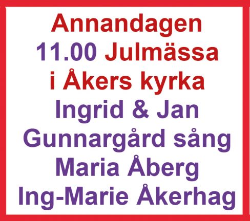 annandag-sk-fors-191220-26-135