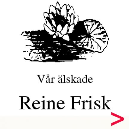 reine-frisk-dodsannons-191230-135