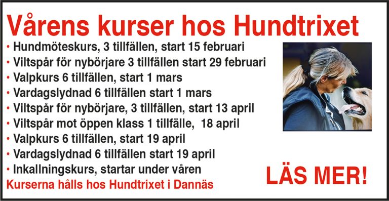 hundtrixet-kurser-200129-200229-nyhet