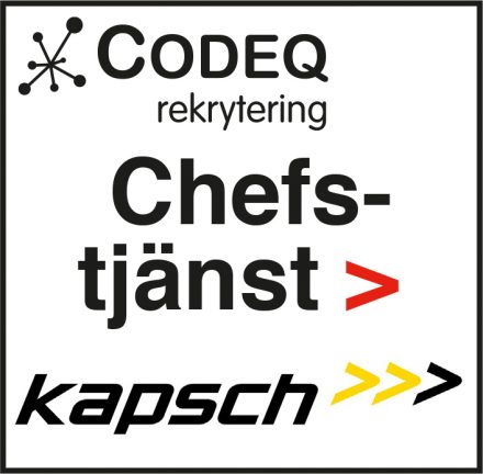 200511-codeq-kapsch-200423-135