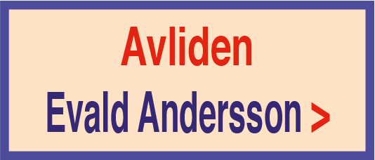 evald-andersson-annons-200601-15-135