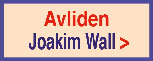 200814-avliden-joakim-wall-200803-13-135