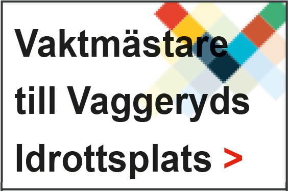 200831-vaktm-vip-200817-135