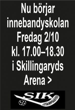 201002-innebandyskola-200902-135