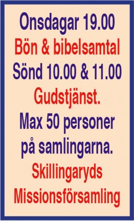 201003-mkyrkan-200903-135