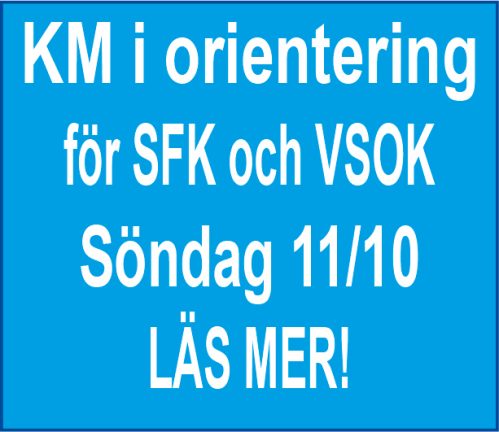 201011-km-orientering-200925-135