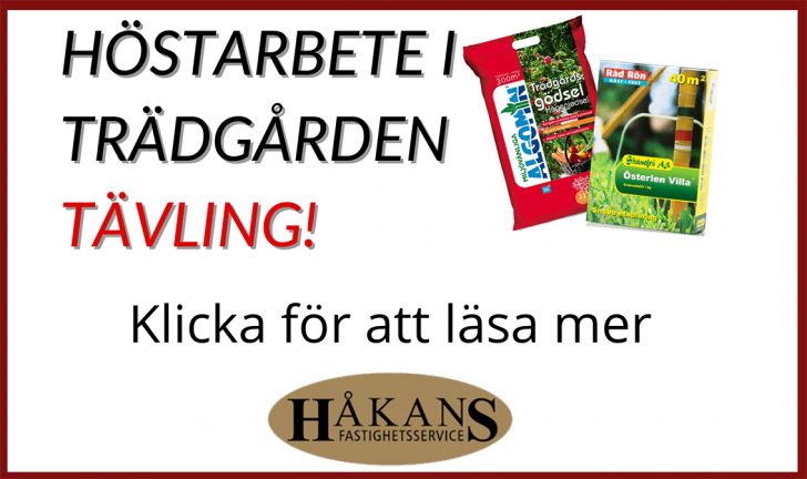 host-hakans-200912-nyhet