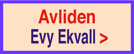 201103-evy-ekvall-avldien-201023-135