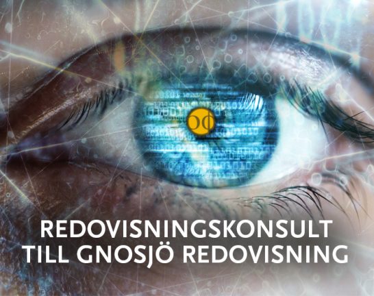 201105-redovisning-jobb-201022